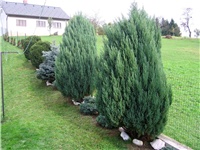162afe46-Jesen1 2010 022.JPG